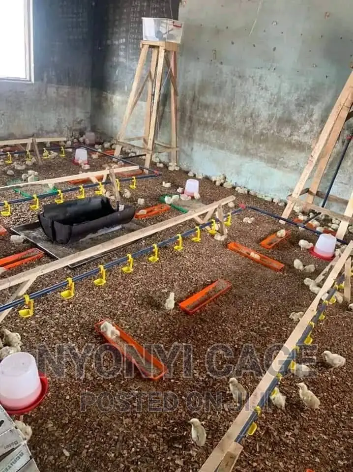 Automatic Water System for Deep Litter System