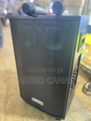 1203 Globalstar Rechargeable 12” Speaker