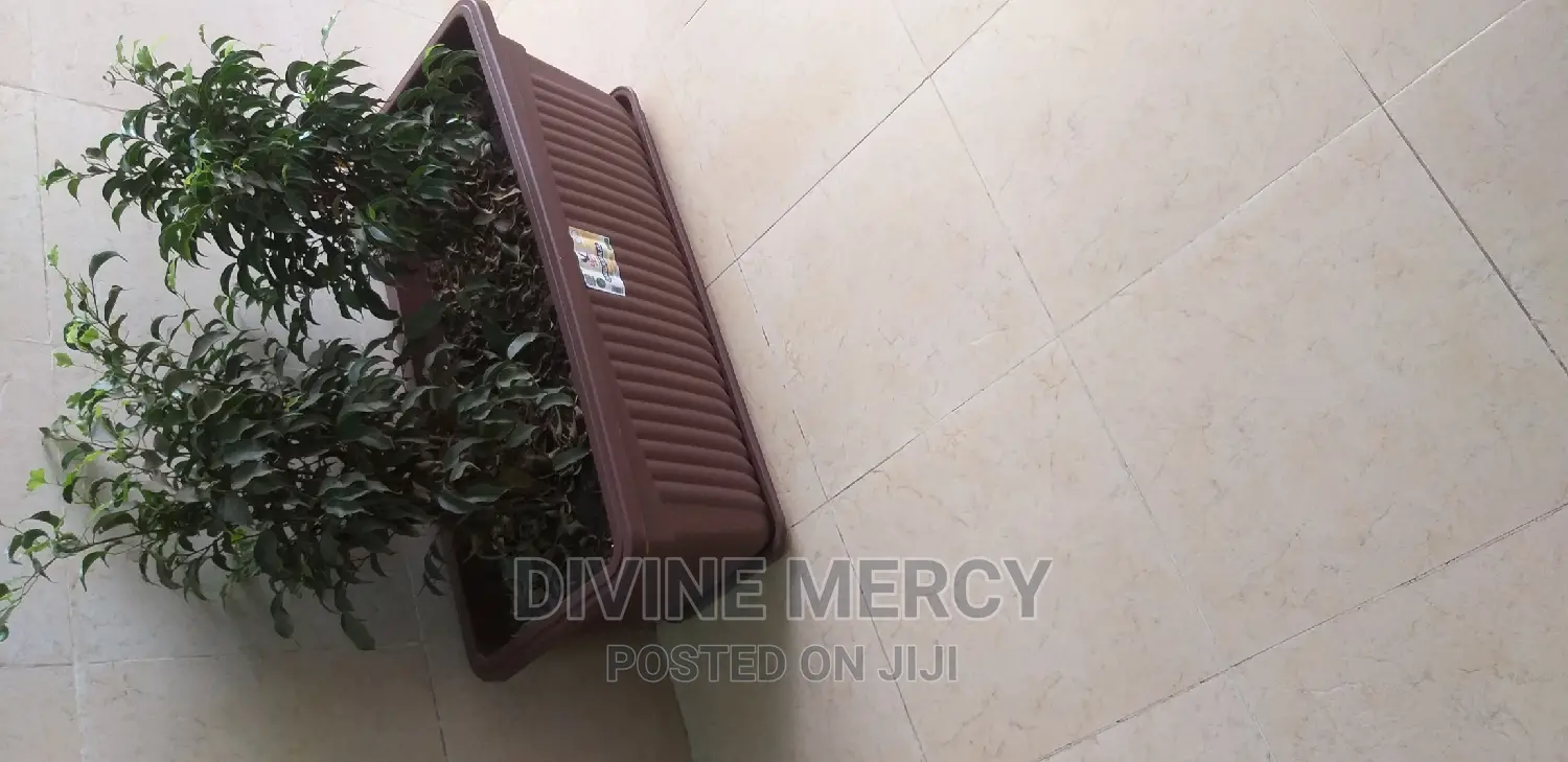 Heavy Duty Big Size Flower Pot