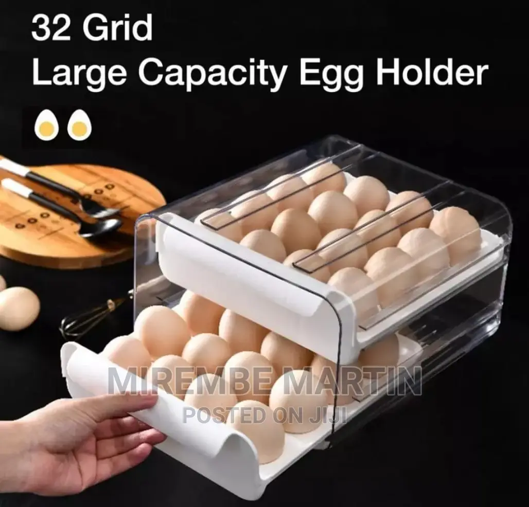 Double Egg Storage Box