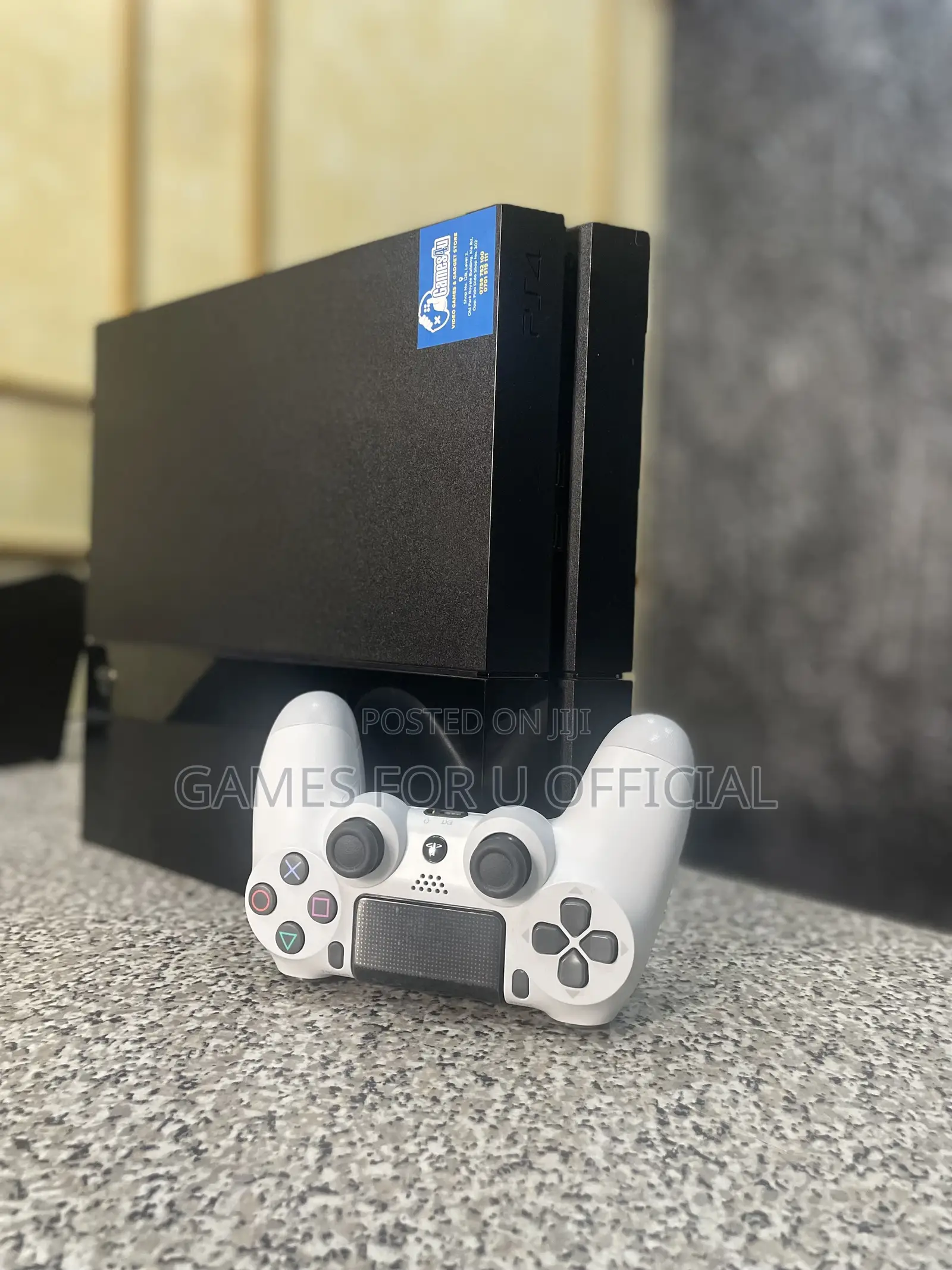 PS4 Standard 1pad #67