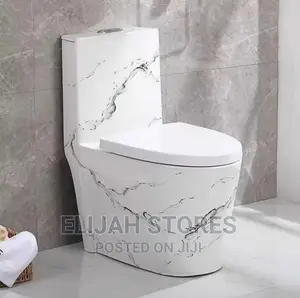 Toilet Seat and Accessories