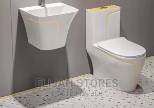 Toilet Seat and Accessories