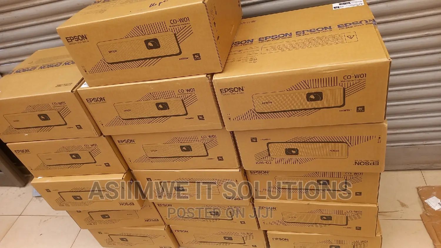 Epson Projector Co-W01