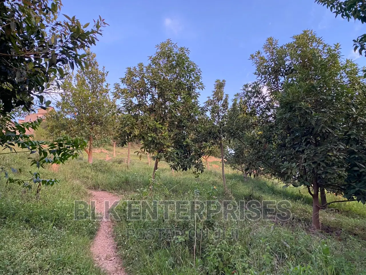 1.7arces for Sale on Buziga Hill