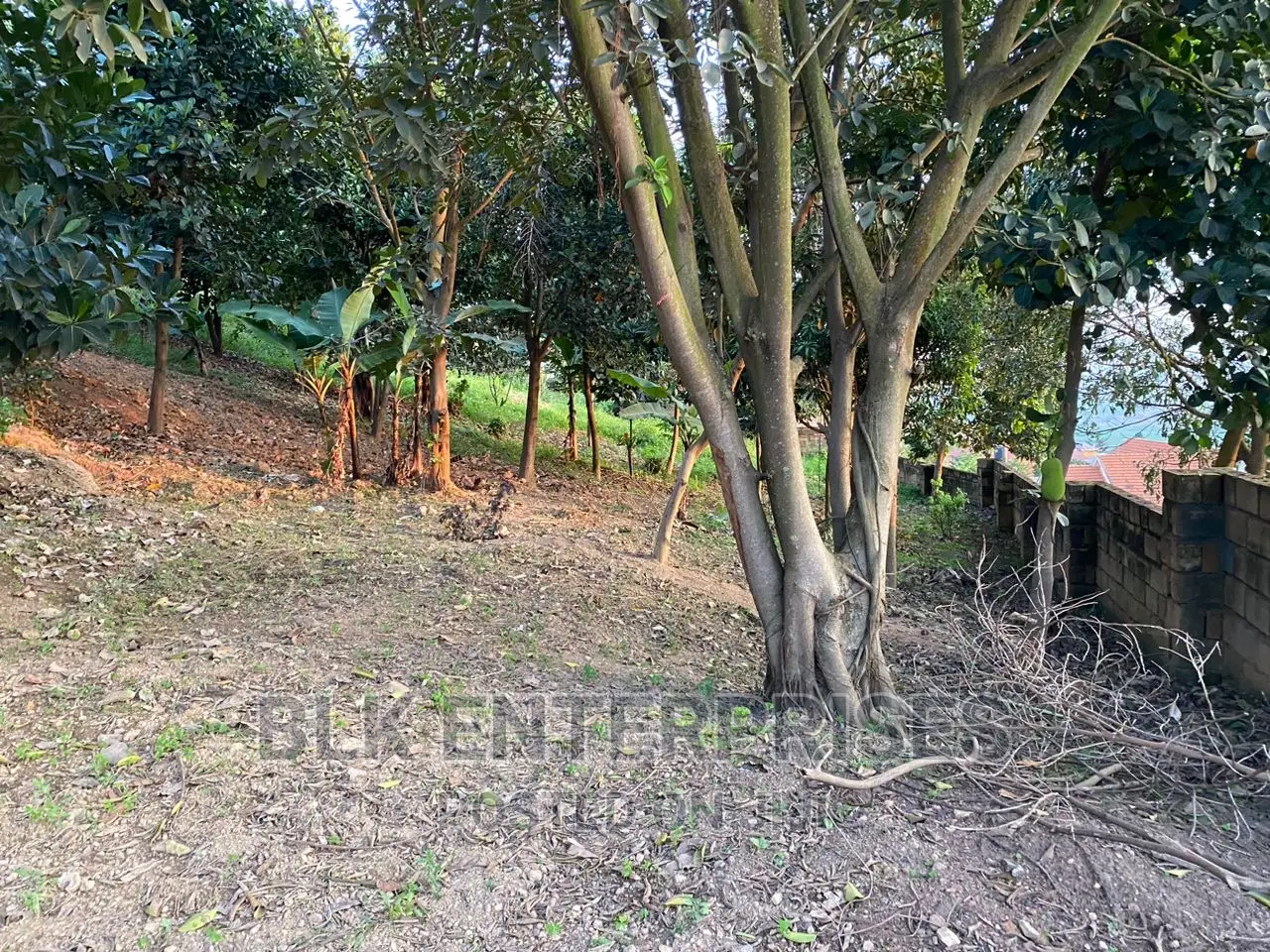 1.7arces for Sale on Buziga Hill