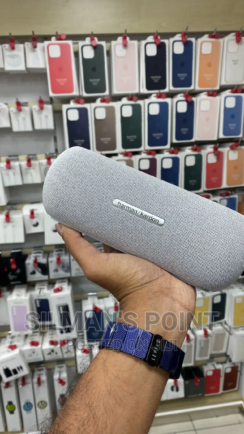 Harman Kardon Luna Speaker Gray