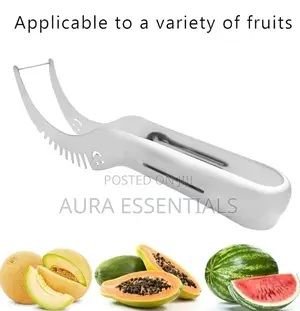 Fruits and Melon Slicer