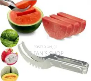Stainless Steel Watermelon Knife / Slicer