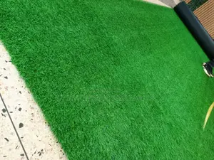 Every Day Grass Carpet Green