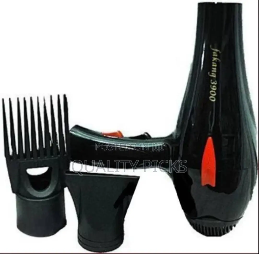 Professional Hair Dryer