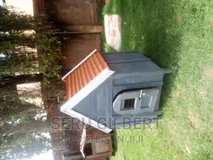 Biht Nice Dog House Available Now at Good Price