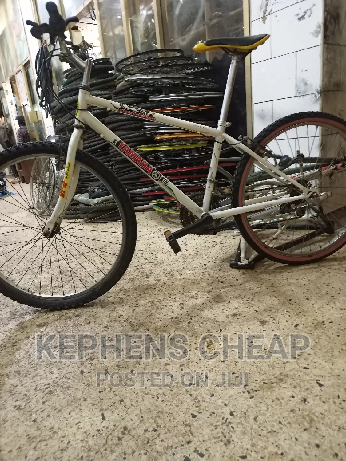 Adult Bike Size 26