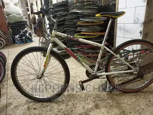 Adult Bike Size 26