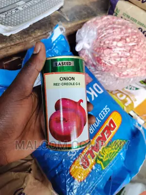Onion Seeds Red Creoles C5 1.5kg Per Acre. 28 Tonnes Output.