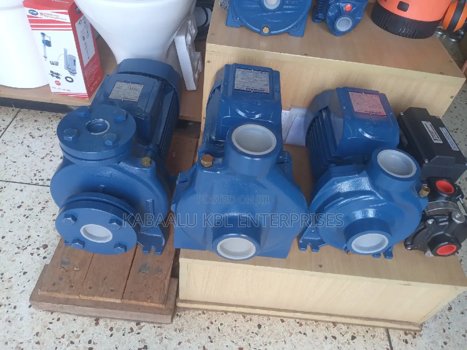 Pedrollo Italy Surface Booster Water Pump 0.5HP