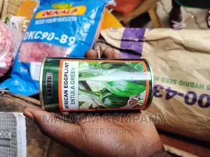 African Egg Plant Seeds / Entula Green