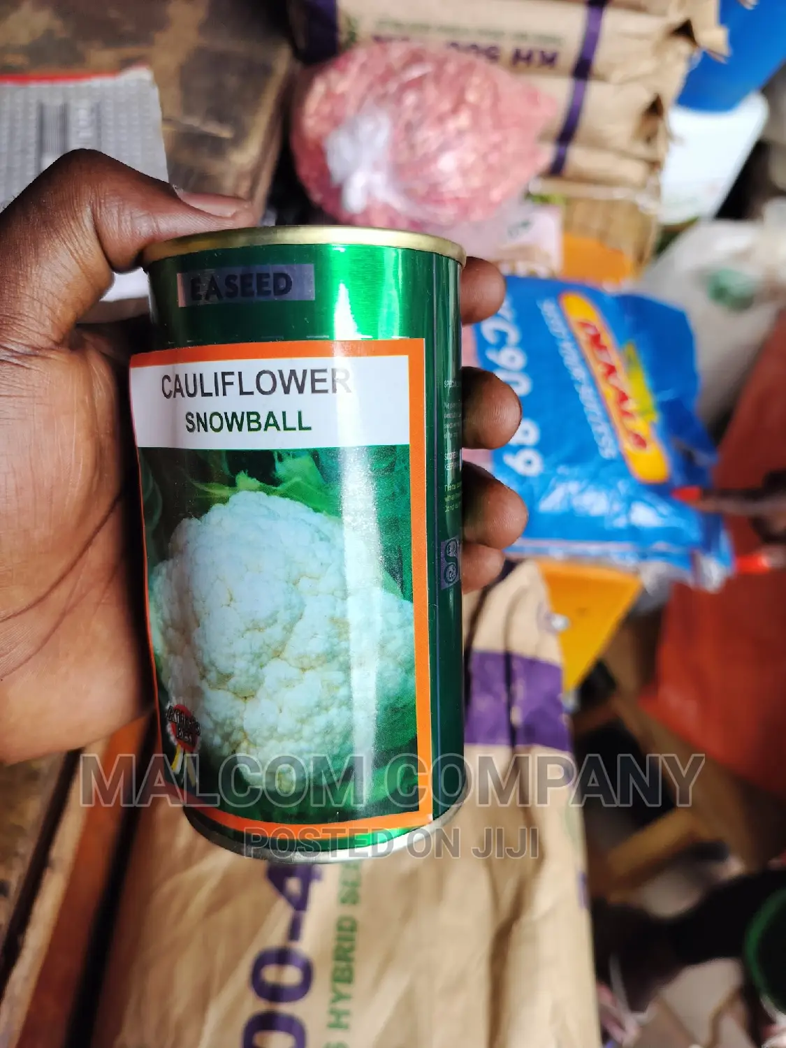 Cauliflower/Snowball