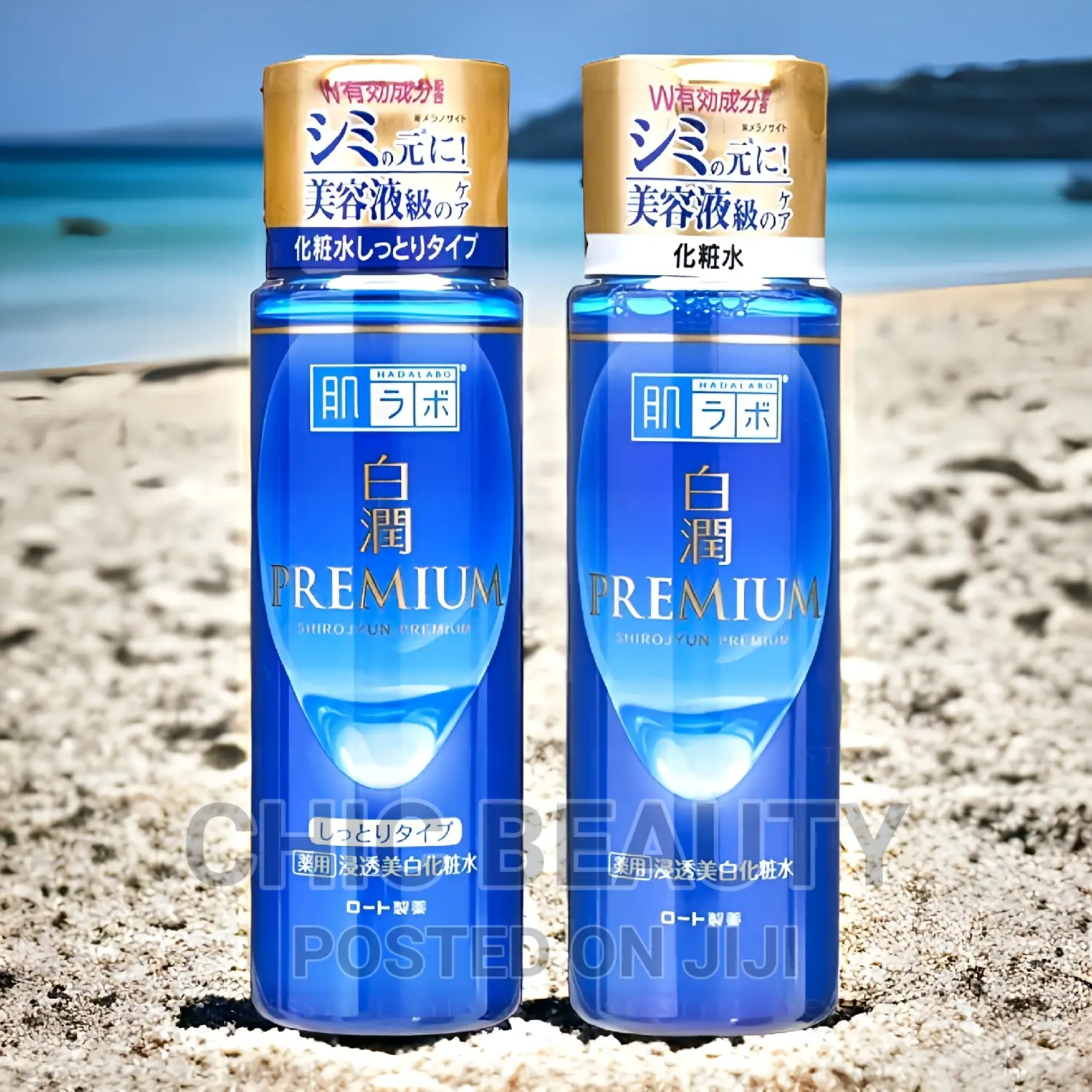 Rhoto Hada Labo Premium Toner With Hyaluronic Acid, Vitamin C E 170ml