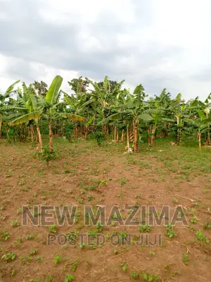 13 Acres on Forcedsale Heart of Bombo Kalure Starting on Rd