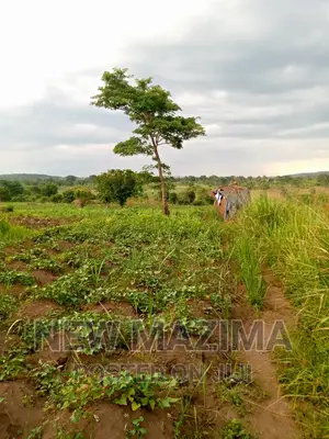 13 Acres on Forcedsale Heart of Bombo Kalure Starting on Rd