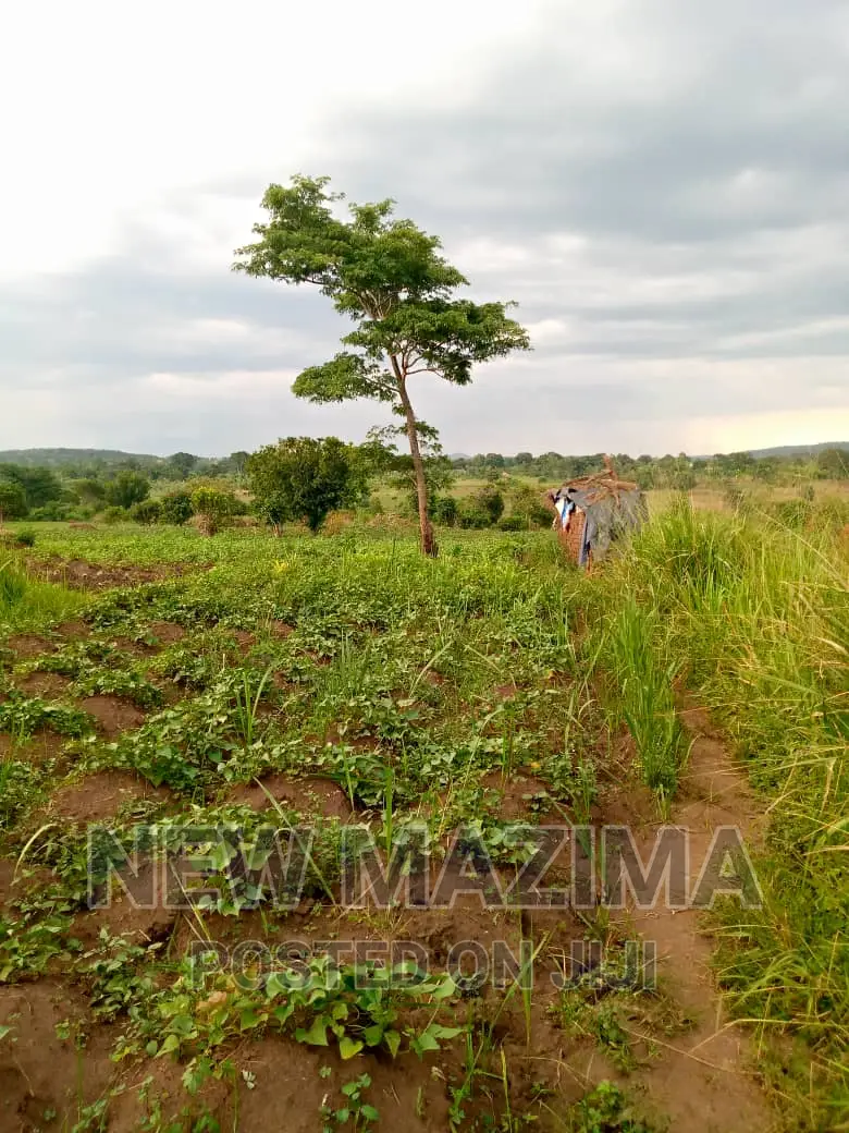 13 Acres on Forcedsale Heart of Bombo Kalure Starting on Rd
