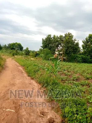 13 Acres on Forcedsale Heart of Bombo Kalure Starting on Rd