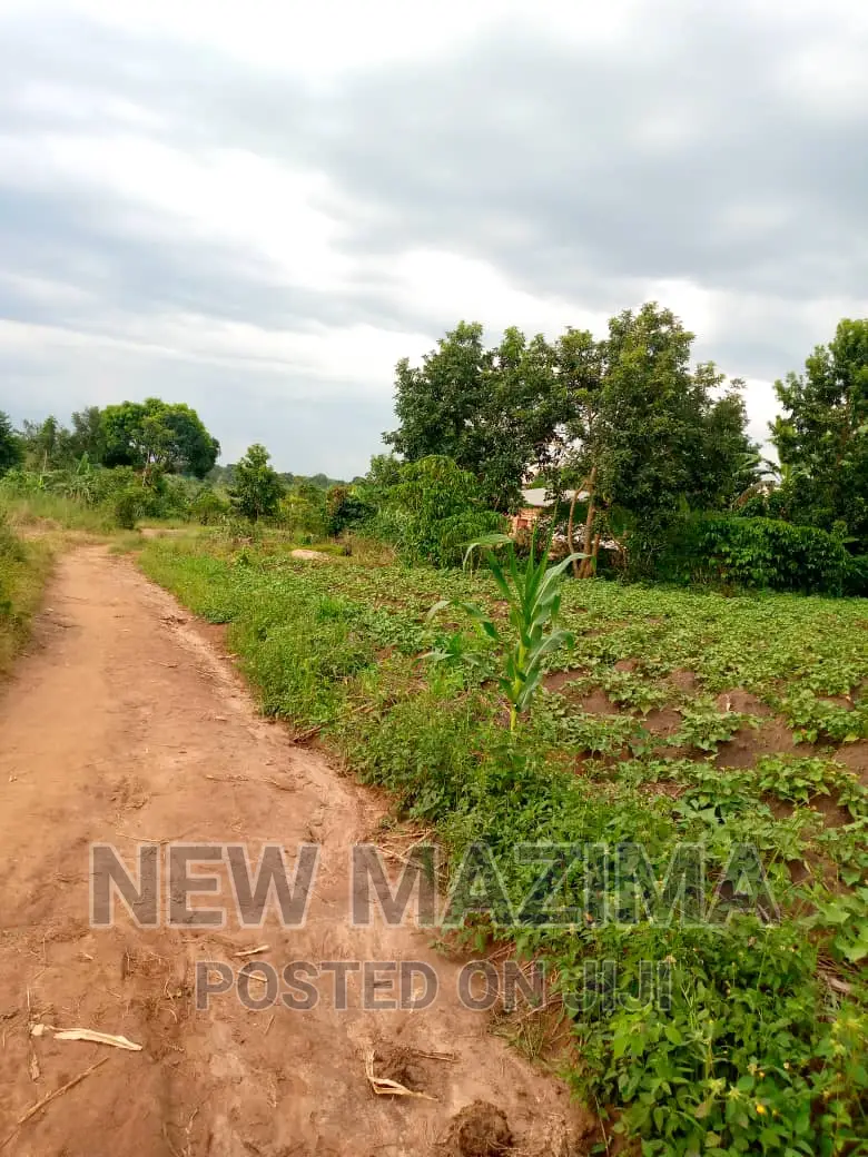 13 Acres on Forcedsale Heart of Bombo Kalure Starting on Rd