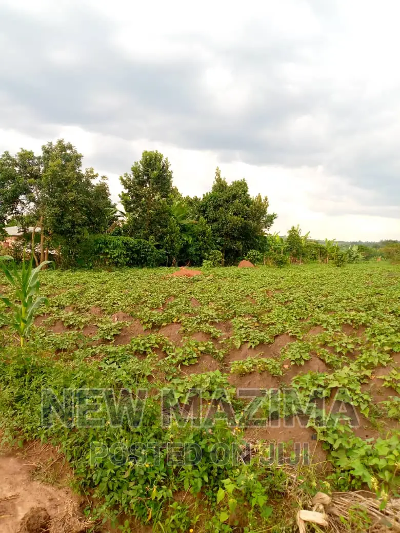 13 Acres on Forcedsale Heart of Bombo Kalure Starting on Rd