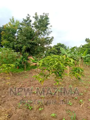 13 Acres on Forcedsale Heart of Bombo Kalure Starting on Rd