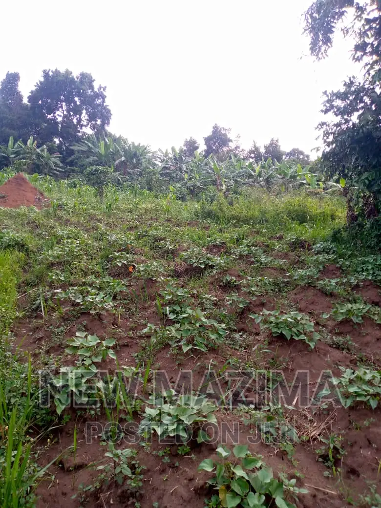 13 Acres on Forcedsale Heart of Bombo Kalure Starting on Rd
