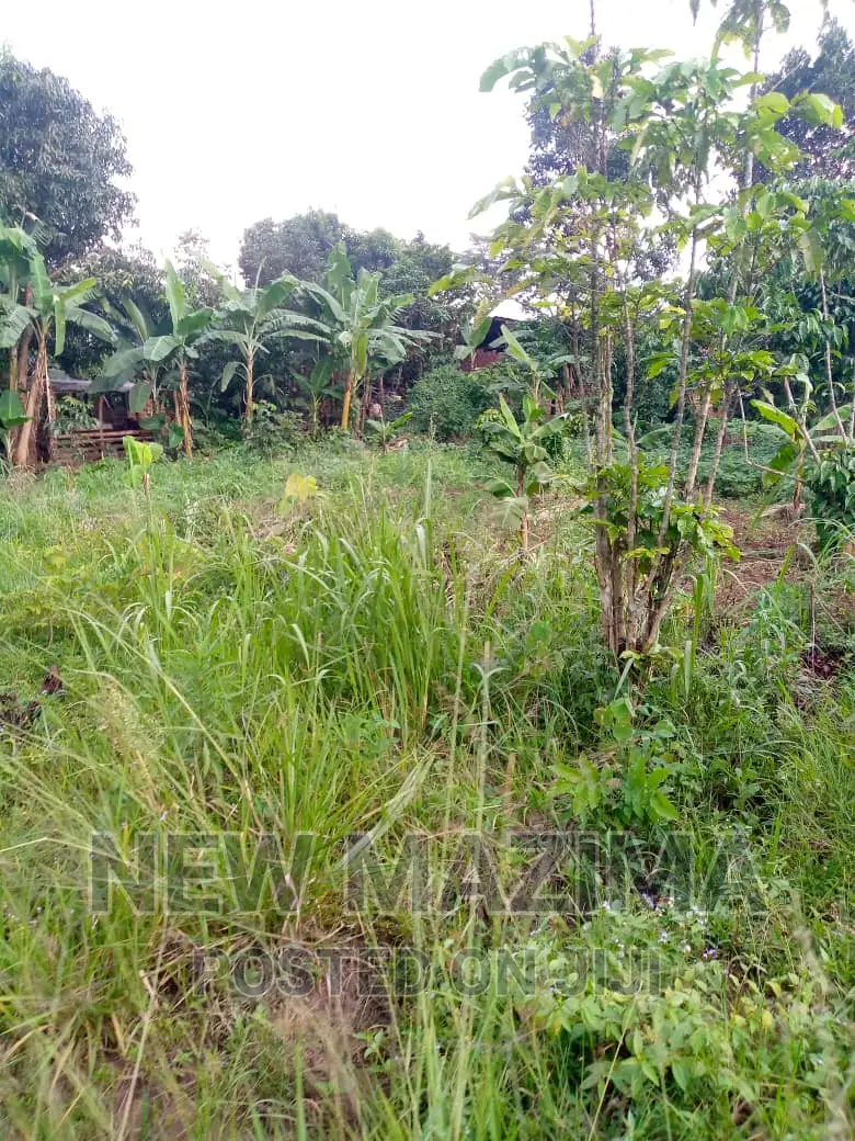 13 Acres on Forcedsale Heart of Bombo Kalure Starting on Rd