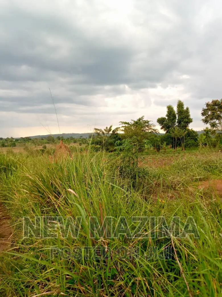 13 Acres on Forcedsale Heart of Bombo Kalure Starting on Rd
