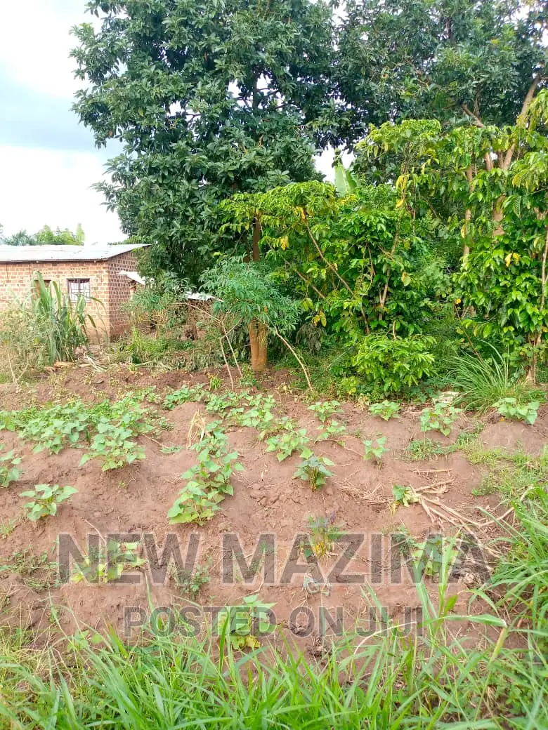 13 Acres on Forcedsale Heart of Bombo Kalure Starting on Rd
