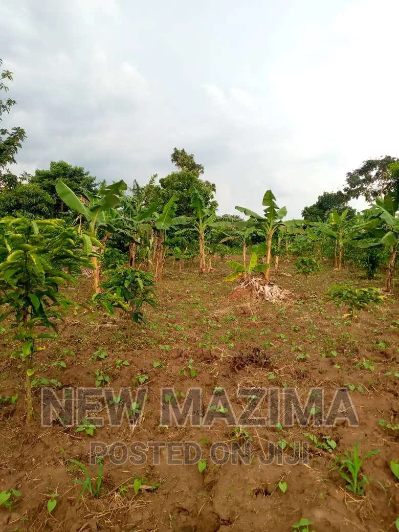 13 Acres on Forcedsale Heart of Bombo Kalure Starting on Rd