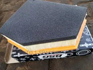 BMW X3 Air Cleaner
