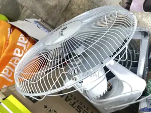 Dplight 16” Ceiling Fan