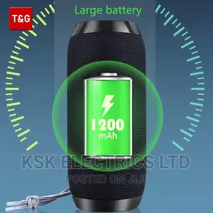 High Quality TG/117 Bt in/Outdoor Speaker Wireless Column