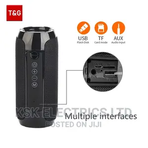 High Quality TG/117 Bt in/Outdoor Speaker Wireless Column