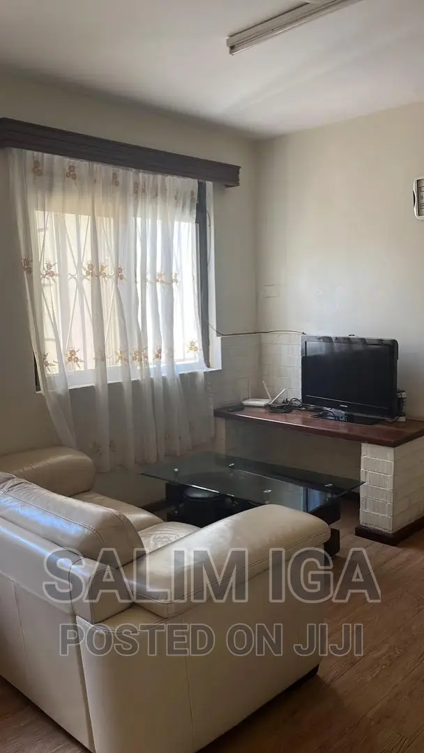 Furnished 1bdrm Apartment in Kololo Property, Central Division