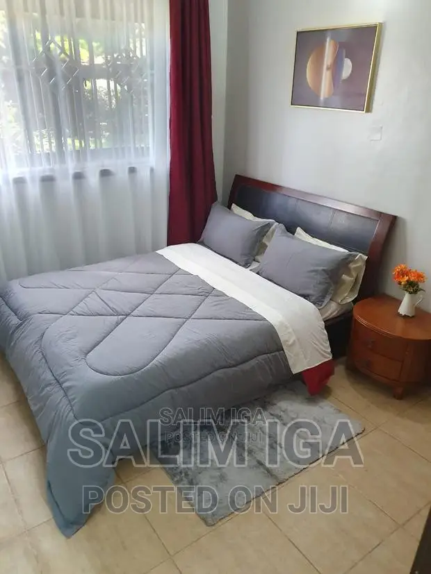 Furnished 1bdrm Apartment in Kololo Property, Central Division
