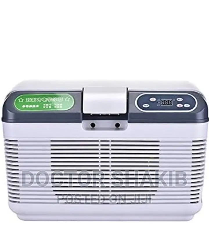 Mini Portable Electric Car Refrigerator Box
