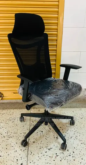 Ergonomic Office Chair