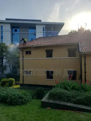Roof Tiles Cleaning Services