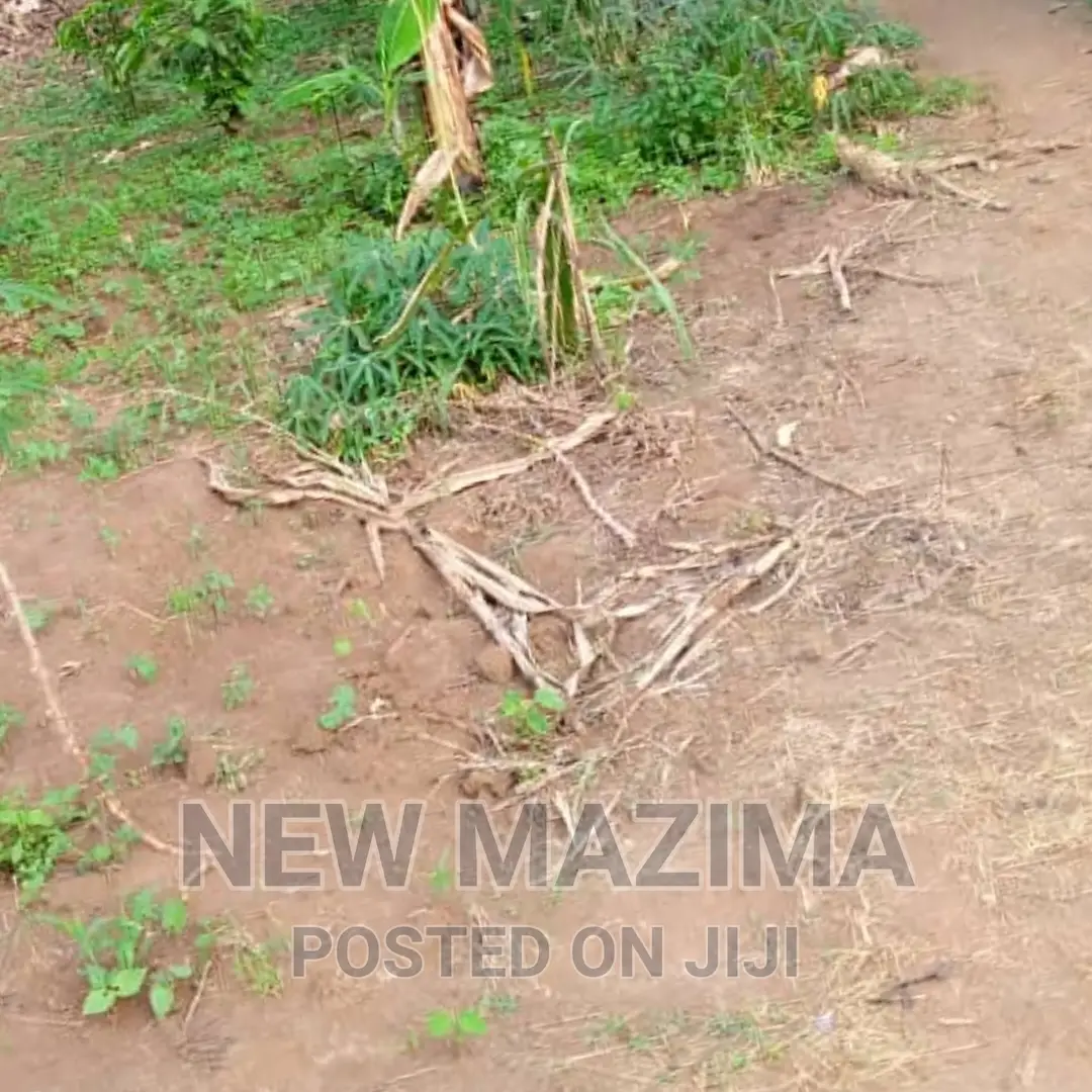 2 Acres and 10 Decimals on Quicksale in Heart of Mpigi