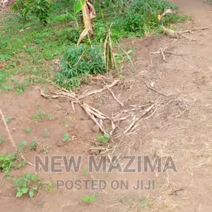 2 Acres and 10 Decimals on Quicksale in Heart of Mpigi