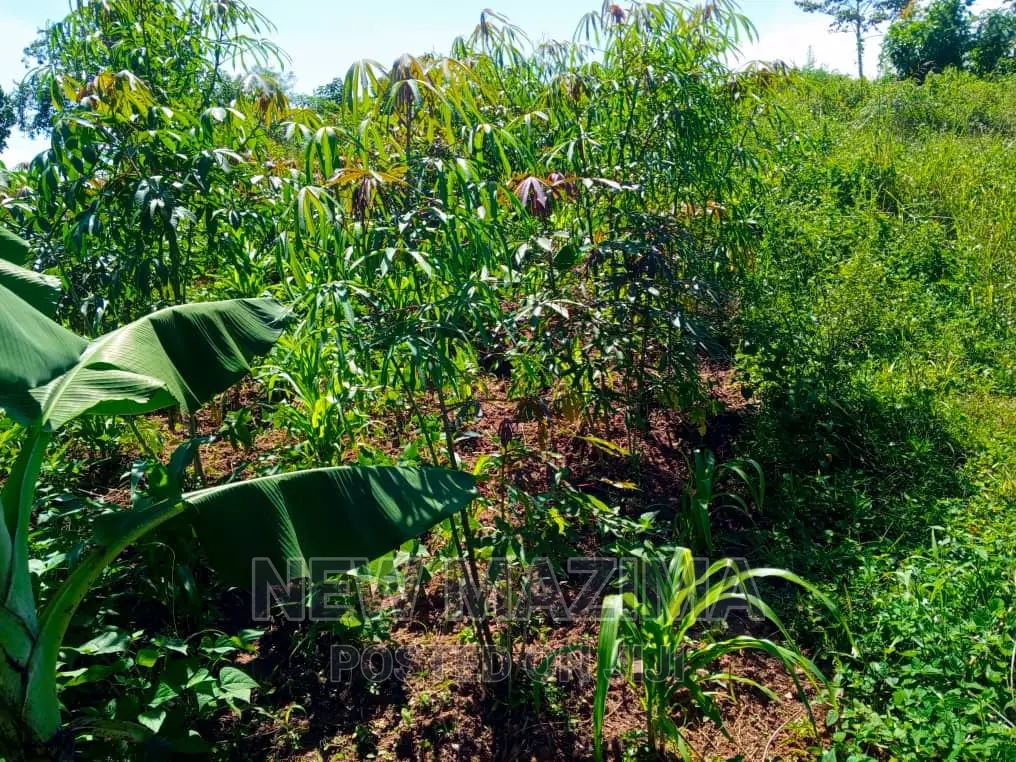 Affordable Private Mile Land Titled Plot Onsale Matuga Gombe