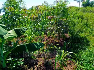 Affordable Private Mile Land Titled Plot Onsale Matuga Gombe