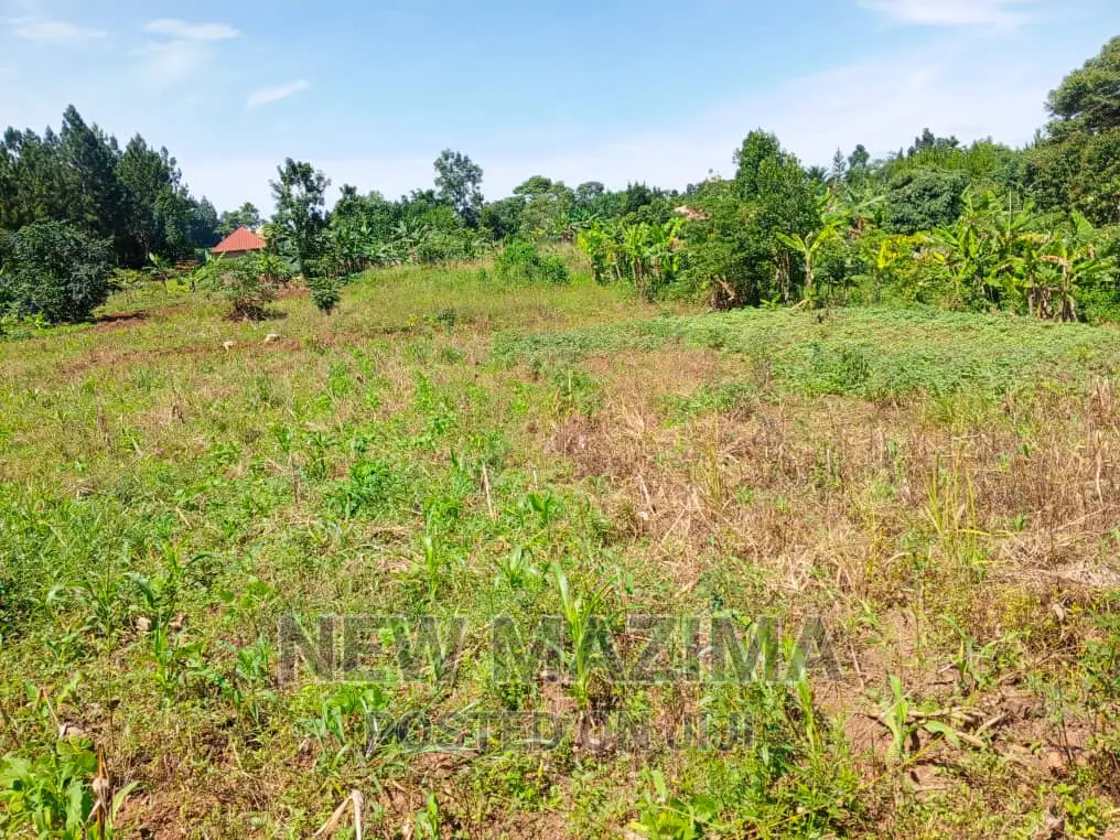 Affordable Private Mile Land Titled Plot Onsale Matuga Gombe