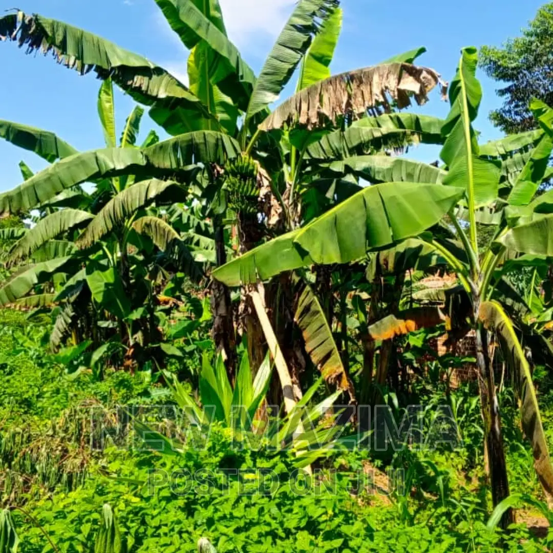 Affordable Private Mile Land Titled Plot Onsale Matuga Gombe